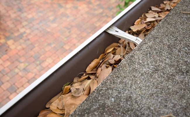 gutter cleaning fort myers
